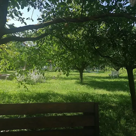 Pista Papa Tanyája Balatongyörök