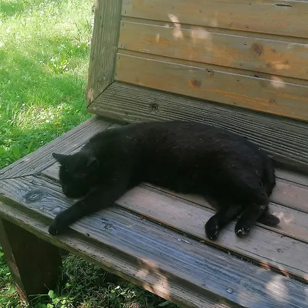 Pista Papa Tanyája Casa de hóspedes 3*