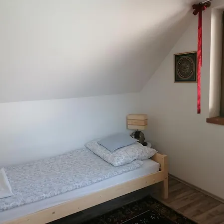 בית הארחה Pista Papa Tanyaja