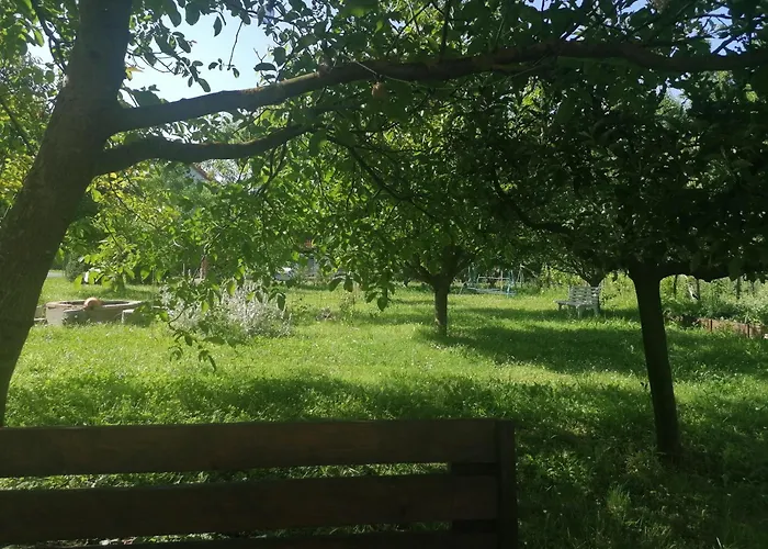 Pista Papa Tanyája Balatongyörök