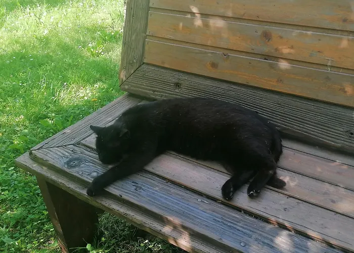 Pista Papa Tanyája Casa de hóspedes 3*